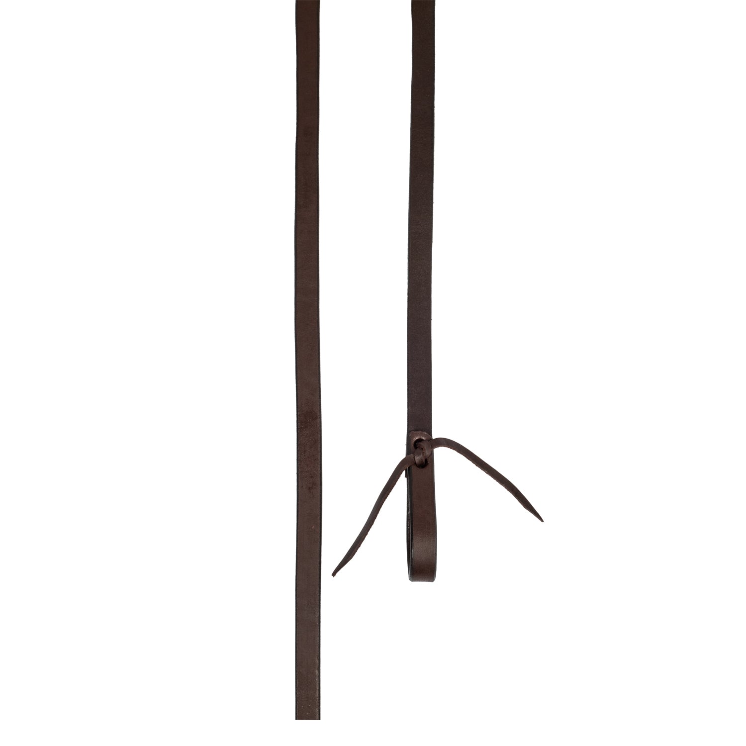 Pool's Geschirrzügel