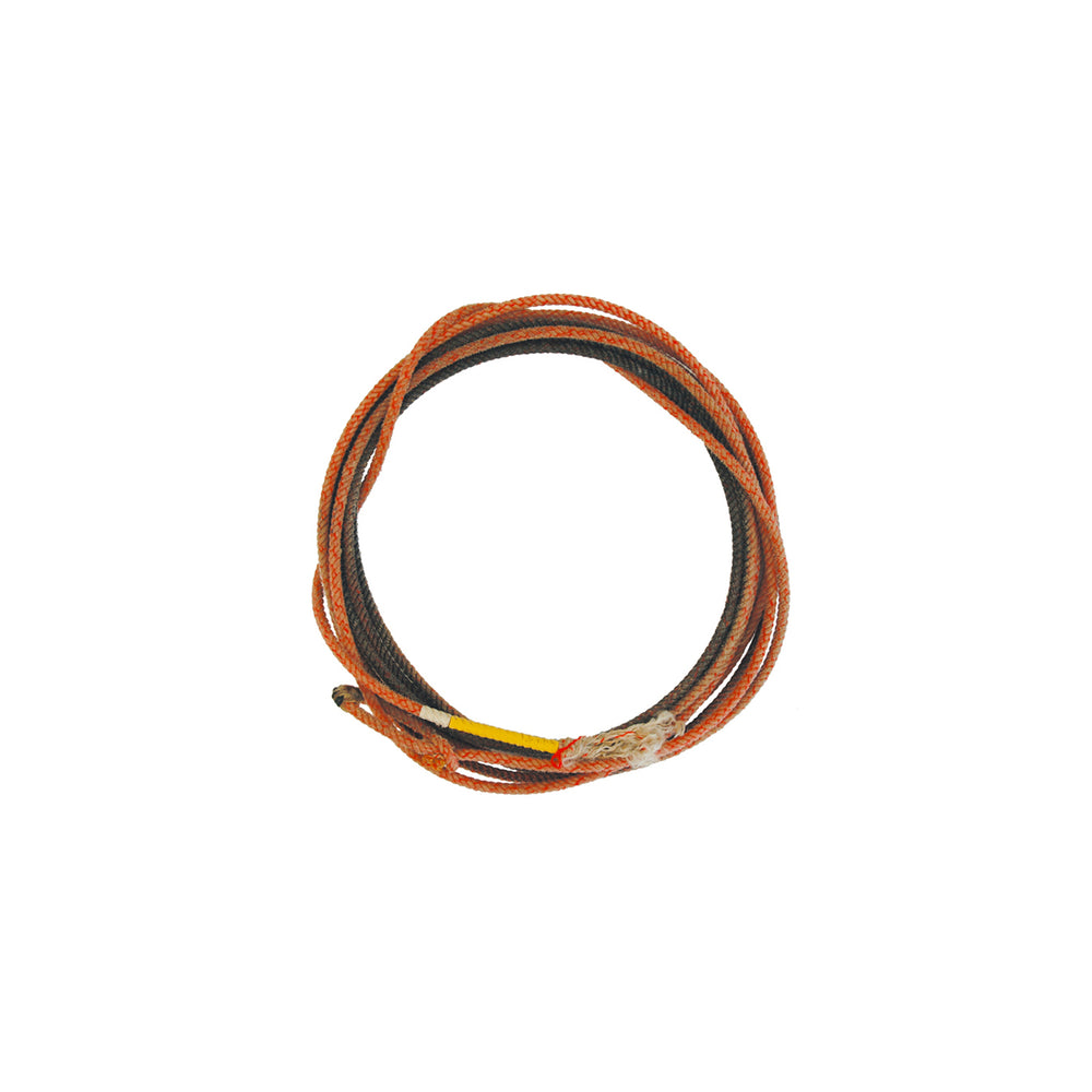 Pools gebrauchtes professionelles Lasso