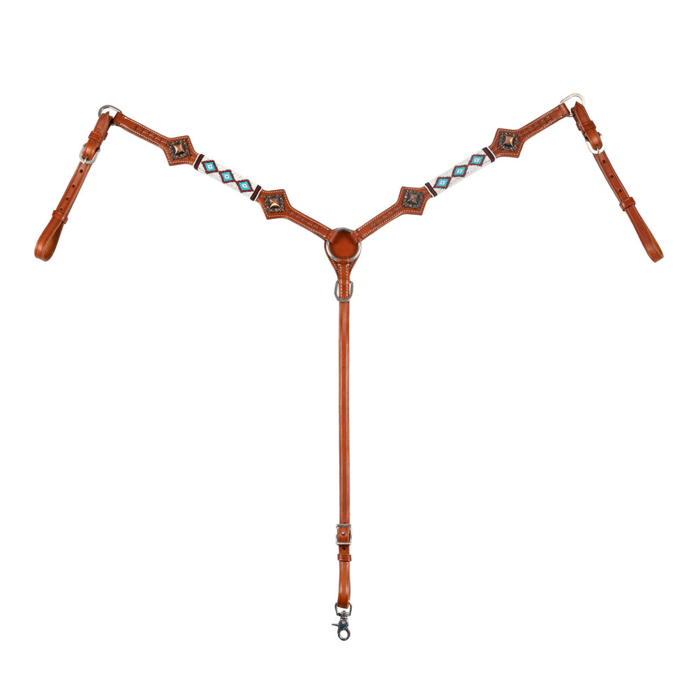 Pools westlicher Brustpanzer Ozean