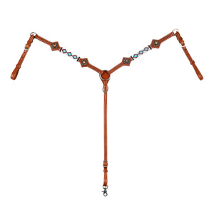 Pools westlicher Brustpanzer Ozean