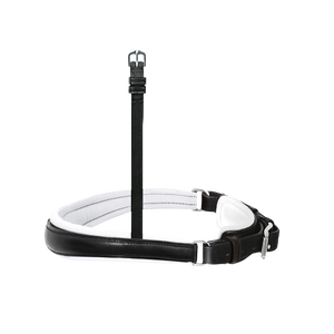 Passier exchangeable anatomically formed caveson with white lining