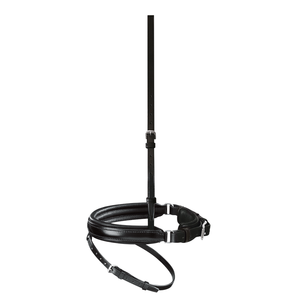 Passier anatomisch geformtes Reithalfter Spezial mit Sperrriemen