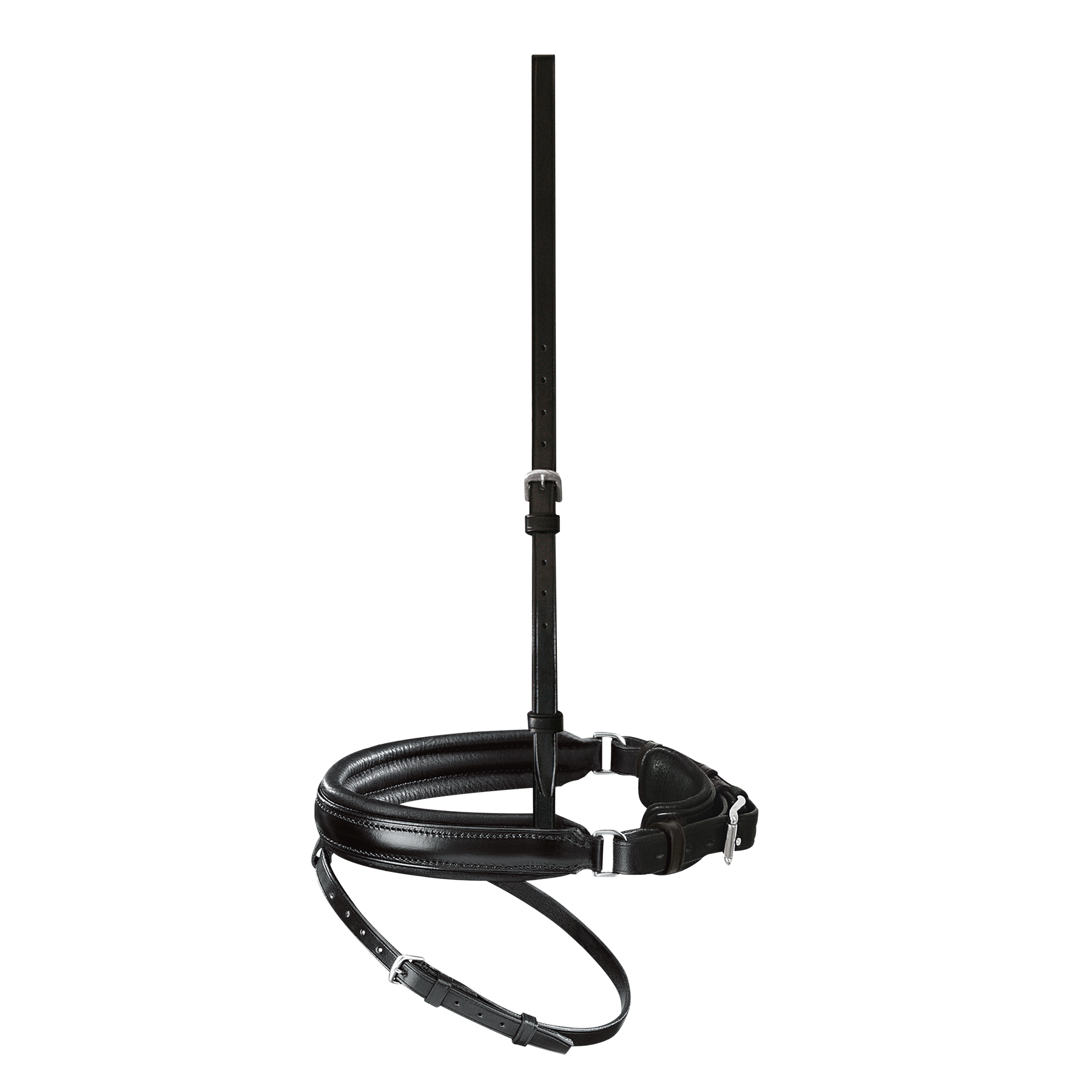 Passier anatomisch geformtes Reithalfter Spezial mit Sperrriemen