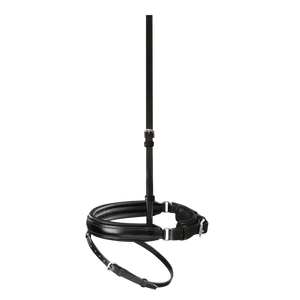 Passier anatomisch geformtes Reithalfter Spezial mit Sperrriemen