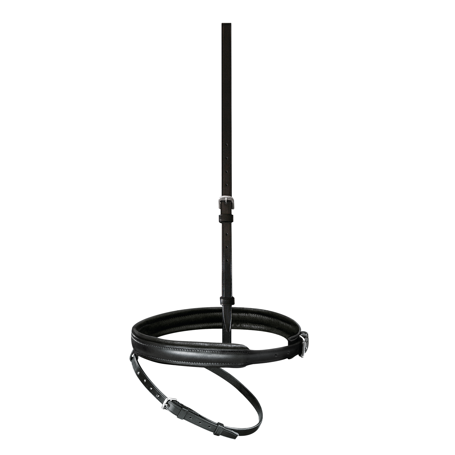 Passier anatomically formed flash noseband