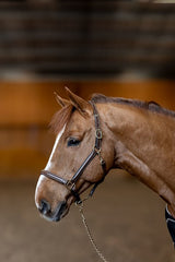 HFI Halfter little groom