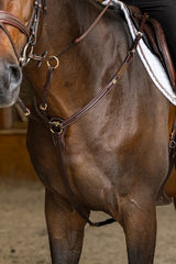 HFI pro Jachtmartingal Arezzo