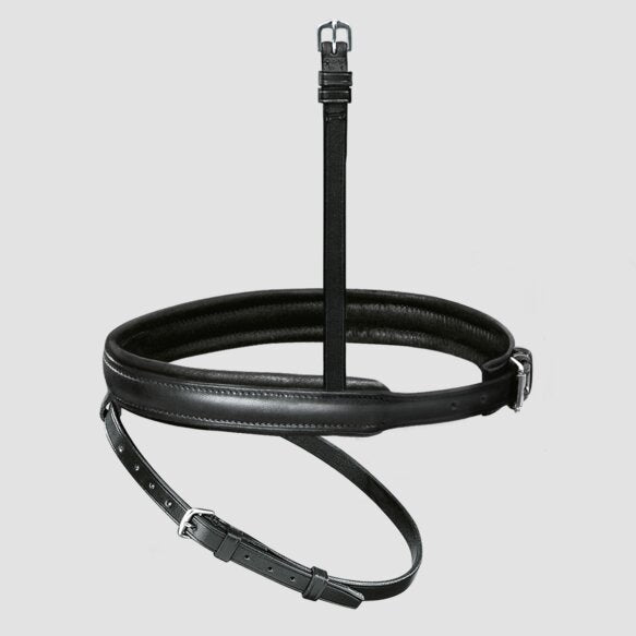 Passier exchangeable flash noseband