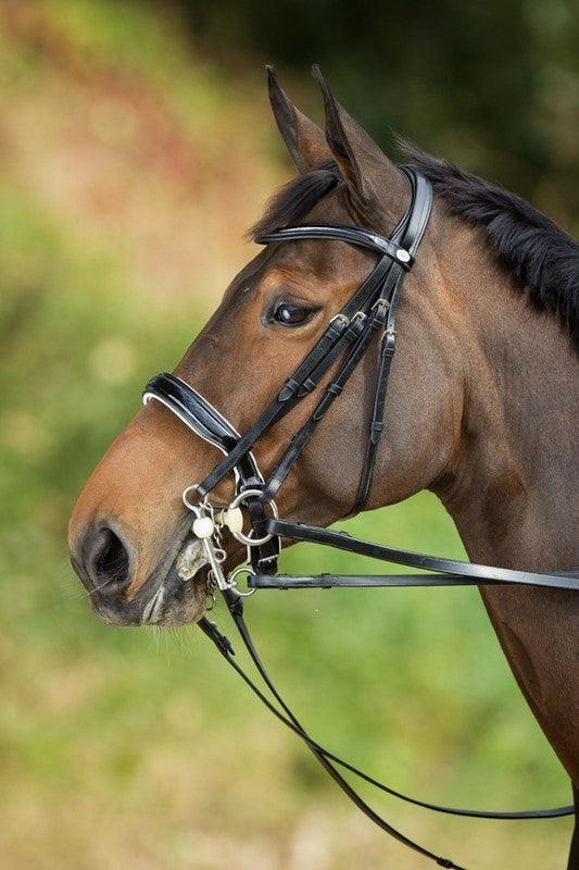 HFI weymouth bridle - HorseworldEU