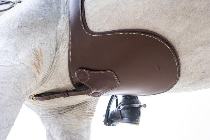 Horse Fitform International Stollengurt mit Magneten