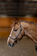 HFI Halfter little groom