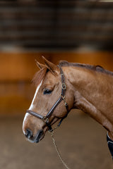 HFI Halfter little groom