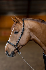 HFI Halfter little groom