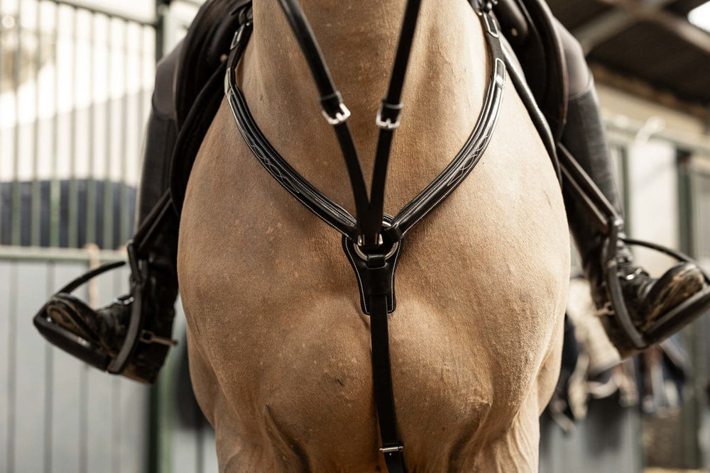 HFI pro Jachtmartingal Arezzo