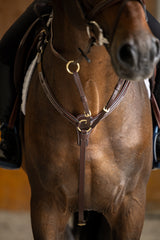 HFI pro Jachtmartingal Arezzo