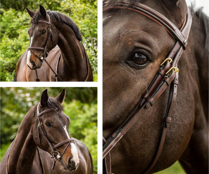 Trust Calgary Combined noseband bridle
