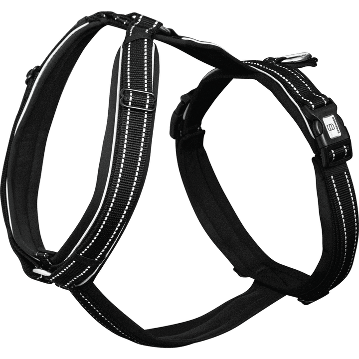 Herm. Sprenger Fohlengeschirr