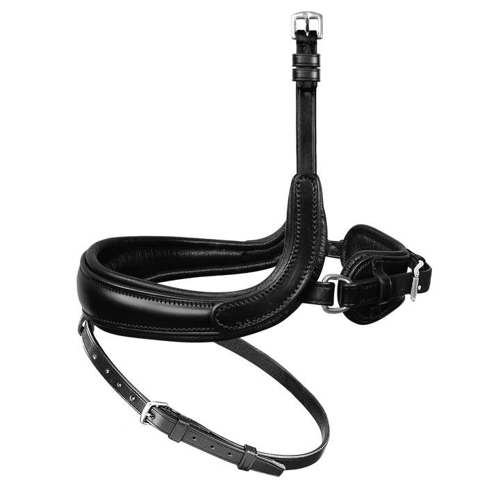 Passier exchangeable noseband with more room for the cheekbone