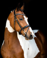 Fair Trense mit anatomischem Genickstück – Schwarz