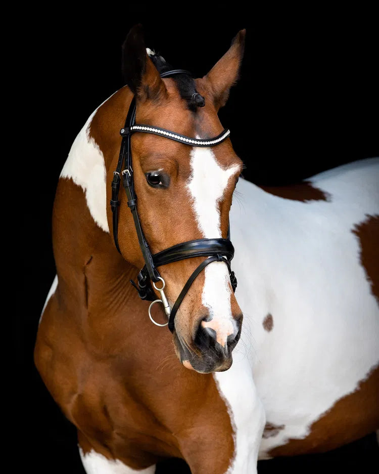 Fair Trense mit anatomischem Genickstück – Schwarz
