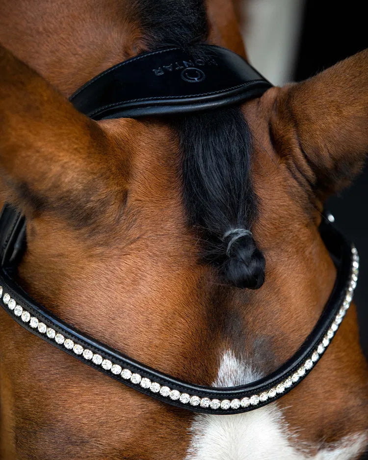 Fair Trense mit anatomischem Genickstück – Schwarz