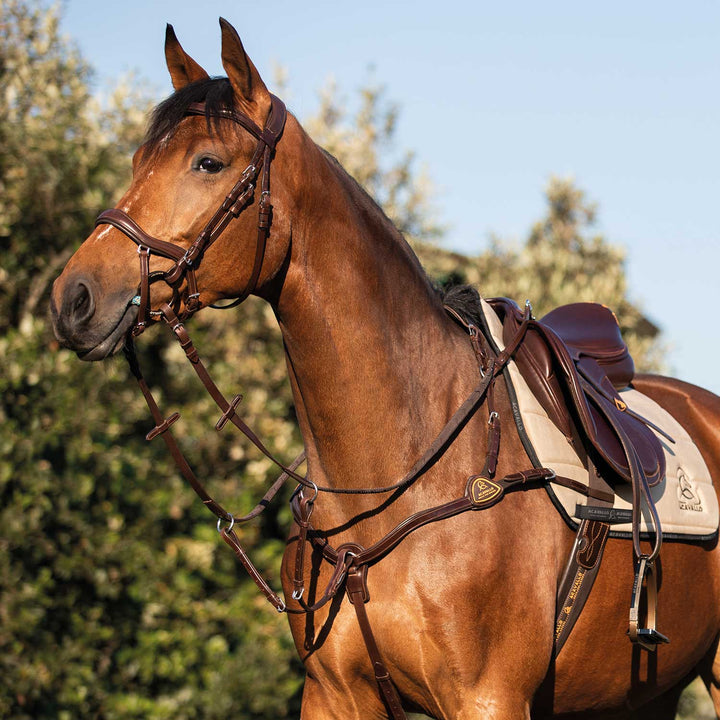 Acavallo five point breastplate calfskin