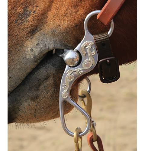 Professional"s choice bob avila santa rosa shank dog bone roller