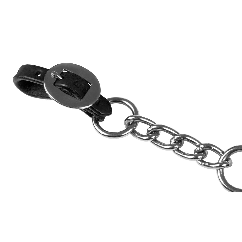 Lakota Kinnriemen Nickelbeschlag