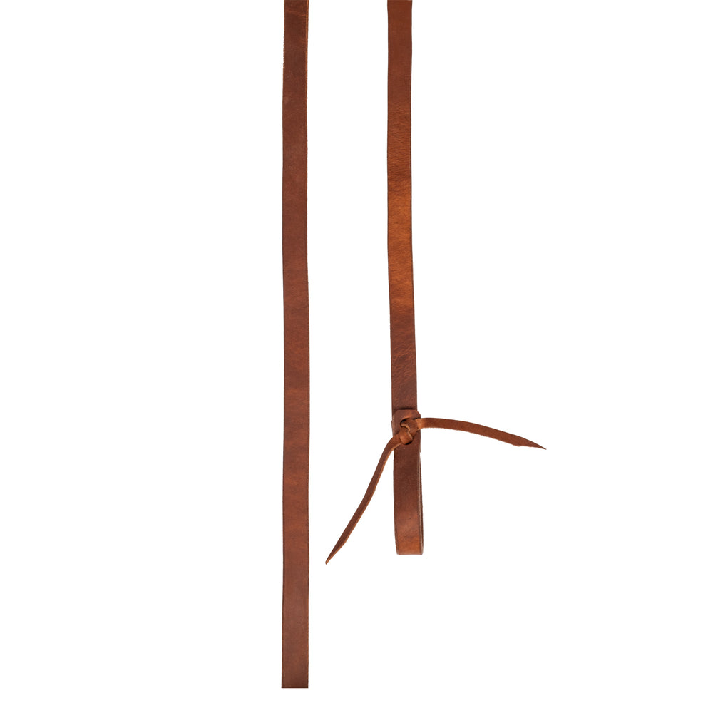 Pool's Geschirrzügel