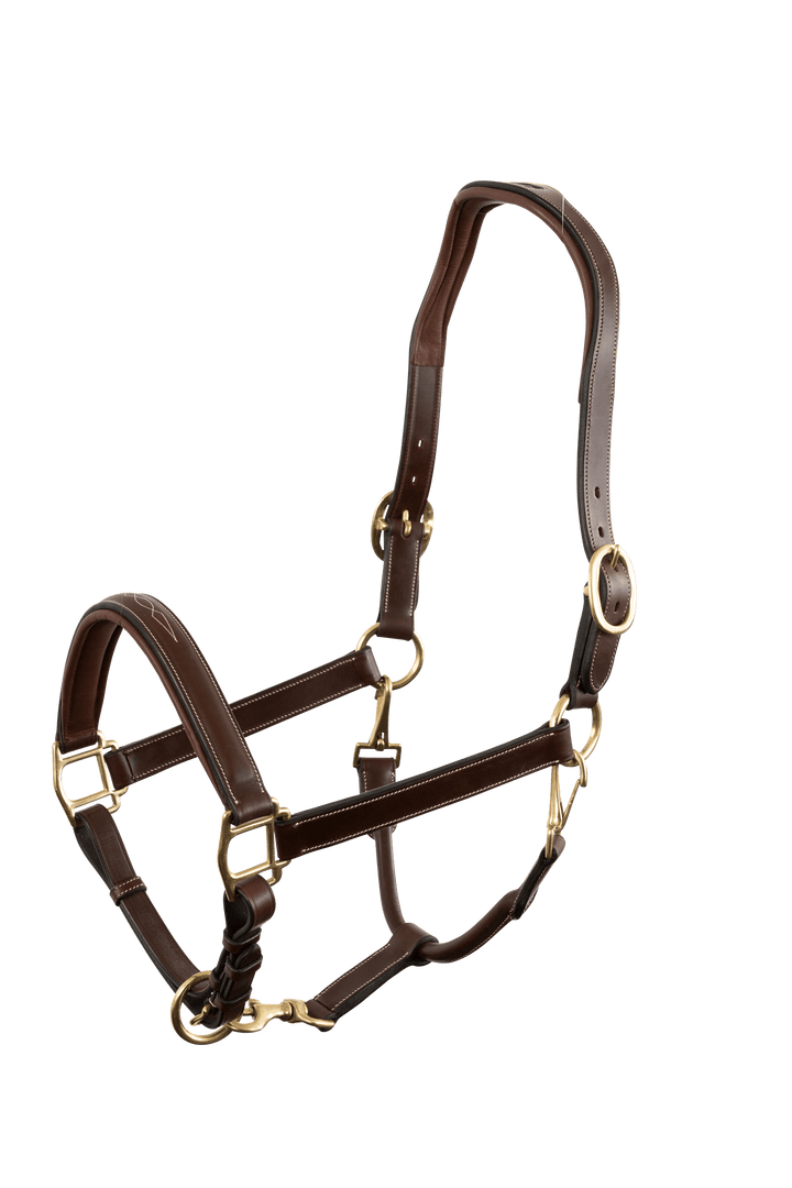 Trust Halfter San Miguel