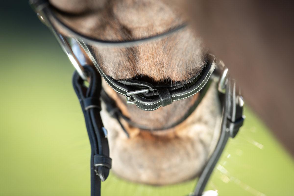 HFI functional bridle - HorseworldEU