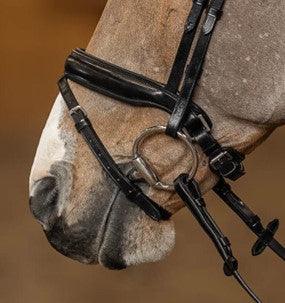 HFI pro bridle Verona - HorseworldEU