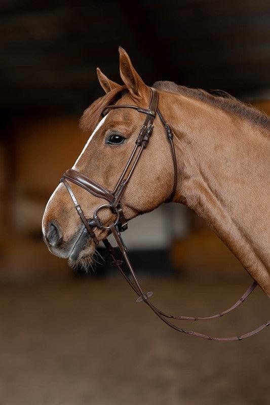 HFI Round bridle - HorseworldEU