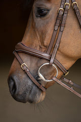 HFI wavy bridle - HorseworldEU