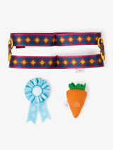 LeMieux Disney Steckenpferd accessoires set Sven