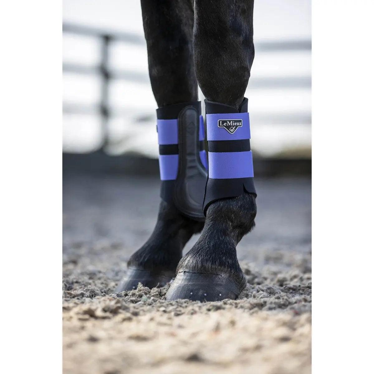 LeMieux grafter brushing boots Lemieux