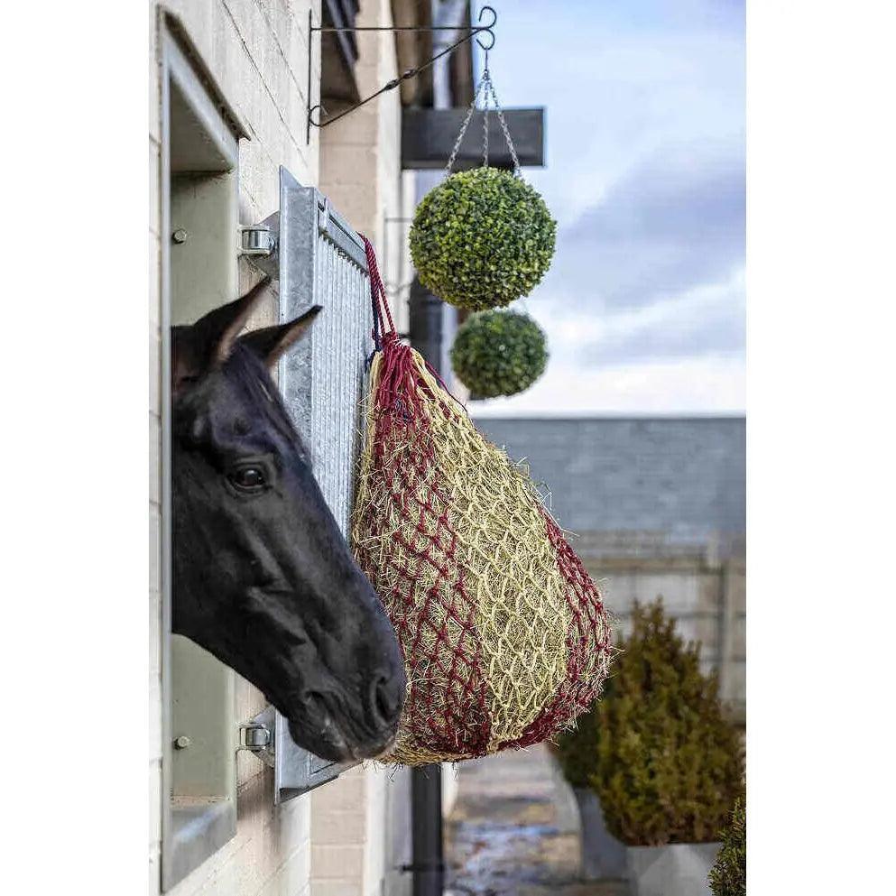 LeMIeux hippo haynet Lemieux