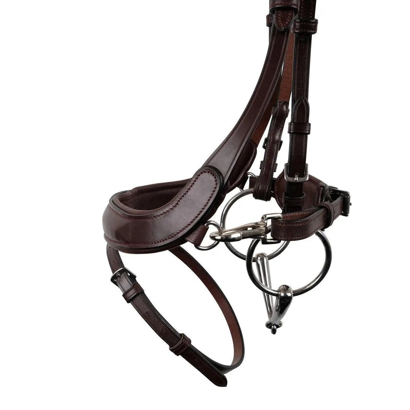 Montar bretagne bridle Montar