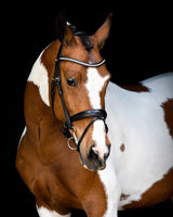 Fair Trense mit anatomischem Genickstück – Schwarz