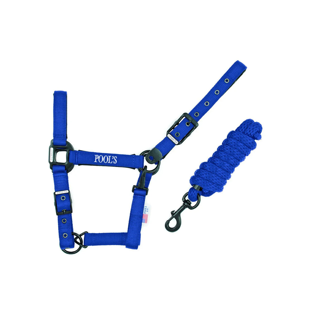 Pool's Nylonhalfter CA00027K