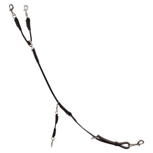 Trust training reins Tyron
