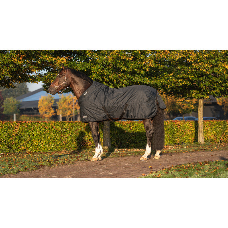 Trust equestrian tetris turnout rug 300 gram
