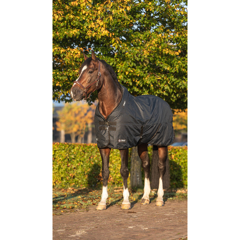 Trust equestrian tetris turnout rug 300 gram