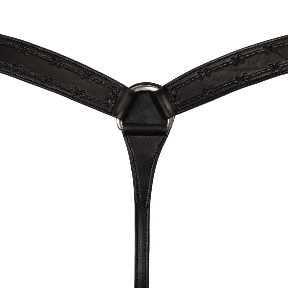 Stacheldraht-Brustgurt für Pool PE00158