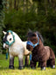 LeMieux toy pony bubbles - HorseworldEU